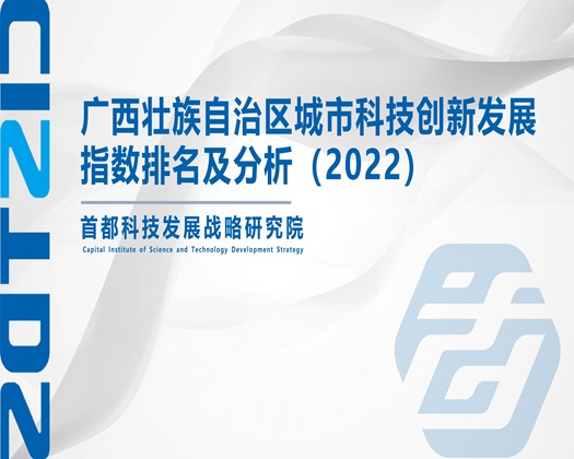 骚屄女人【成果发布】广西壮族自治区城市科技创新发展指数排名及分析（2022）